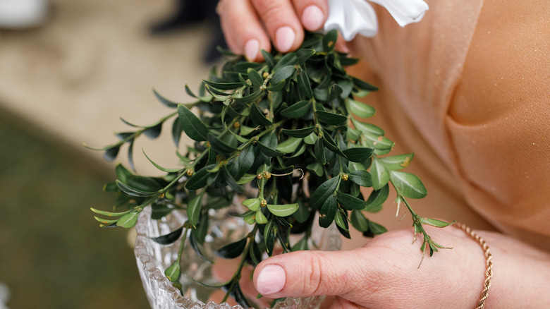 Hands holding green stems atop a glass bowl