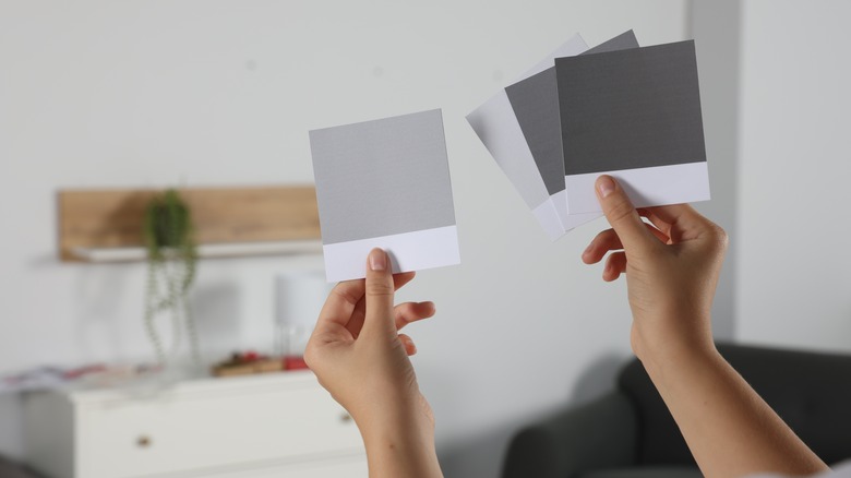comparing gray paint samples