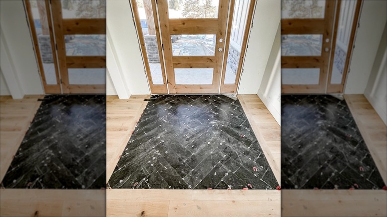 An entryway with wood floors and a black tile inlay