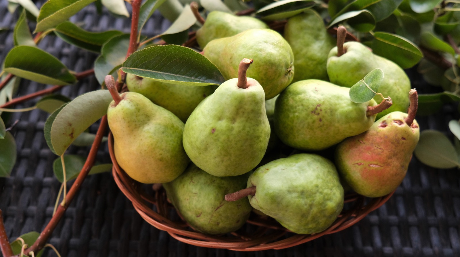Get Useful Guidance On Planting And Caring For Bartlett Pear Trees