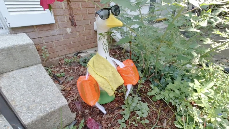 A porch goose with wings wearing a swimsuit, towel, and inflatable armbands