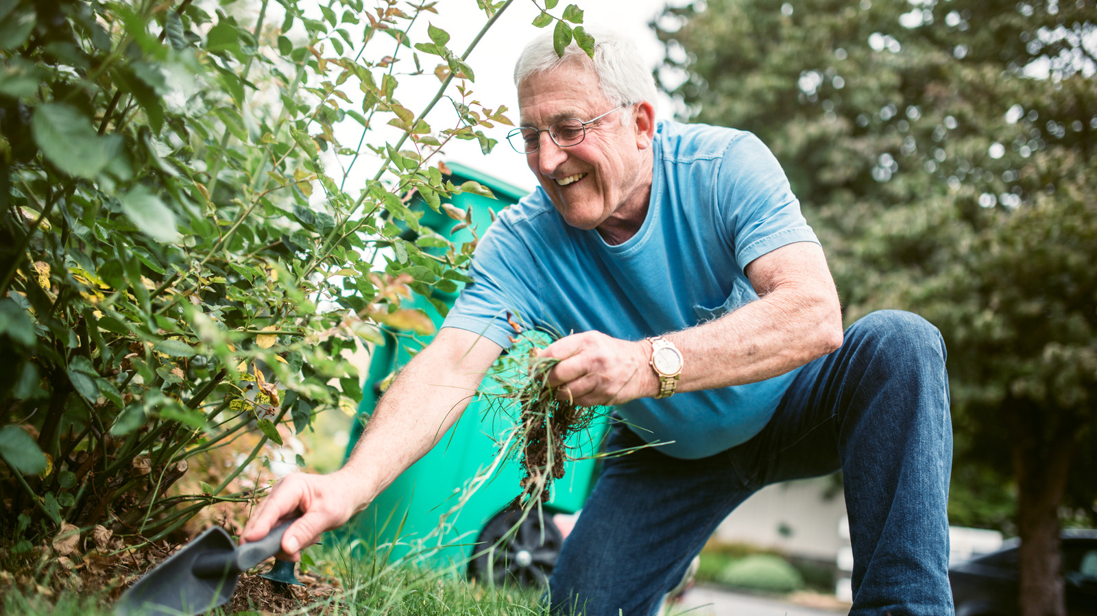 Borax weed killer deals