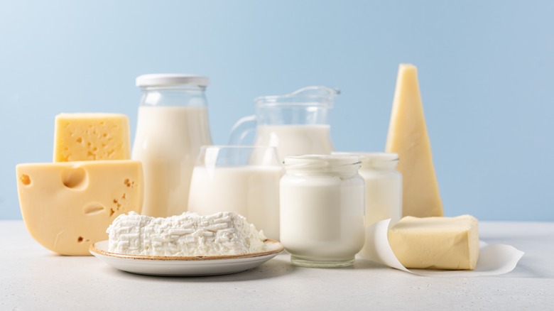 dairy products
