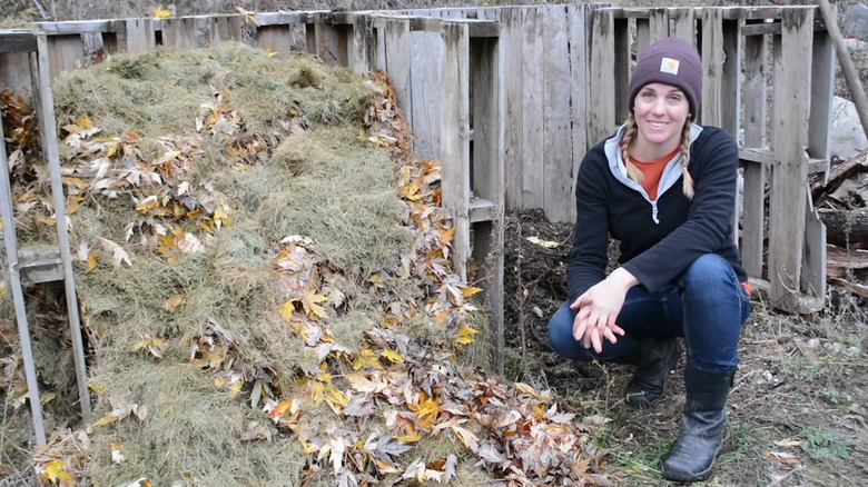 brown compost ingredients