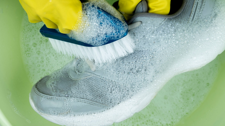 A sneaker being cleaned using brush and soapy water