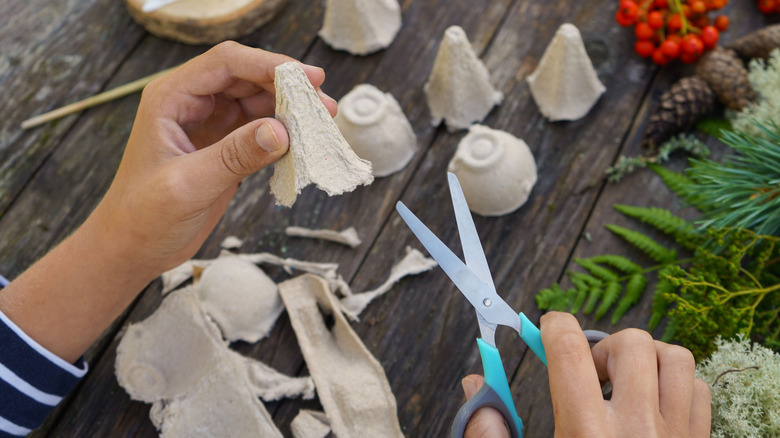 Hands cutting out the cups and cones from an egg carton