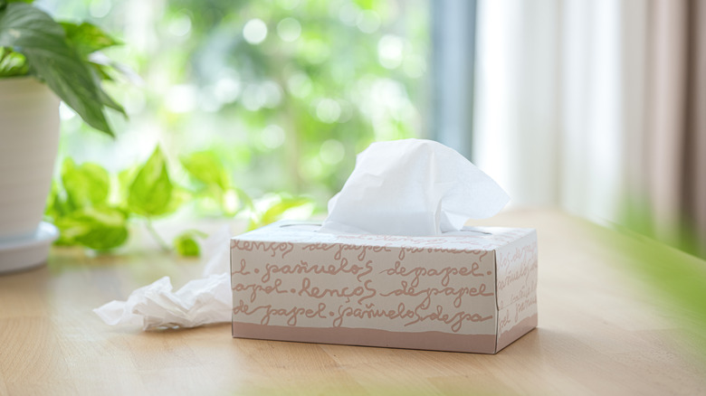 Pink and white tissue box with greenery behind it.