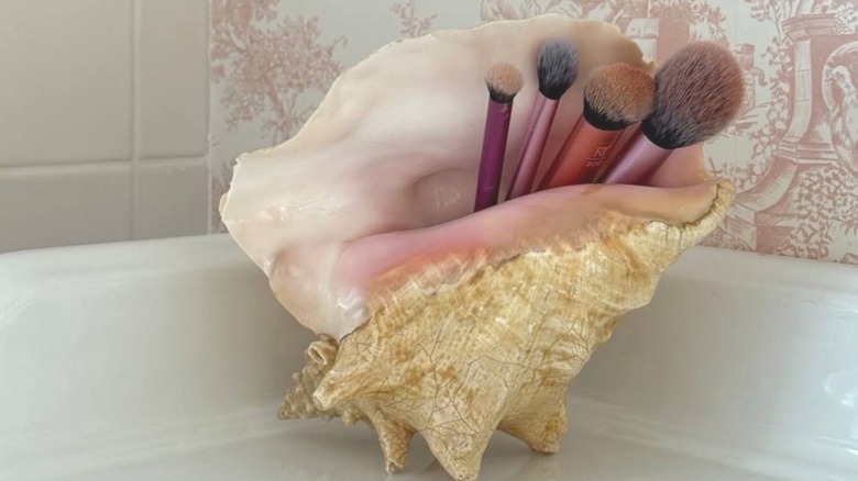 a Queen Conch shell used to store beauty brushes