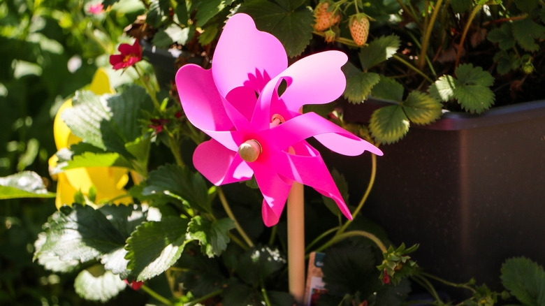 pinwheel by a garden