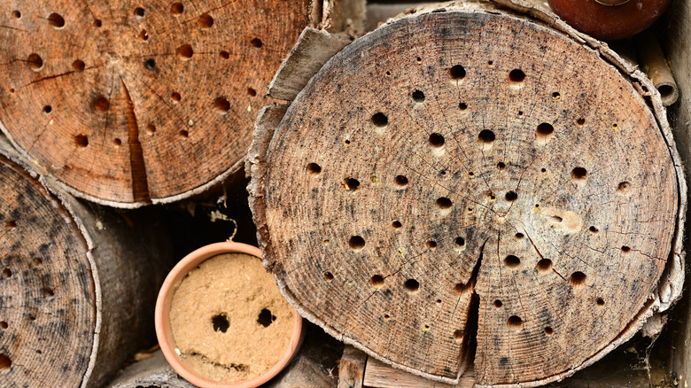 A DIY carpenter bee house made out of wood slabs drilled with holes