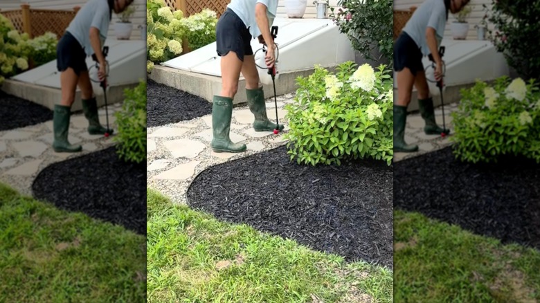 Woman spraying her mulch garden and gravel walkway with mulch glue.