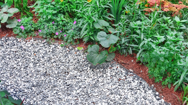 Pea gravel walkway next to a mulched garden.