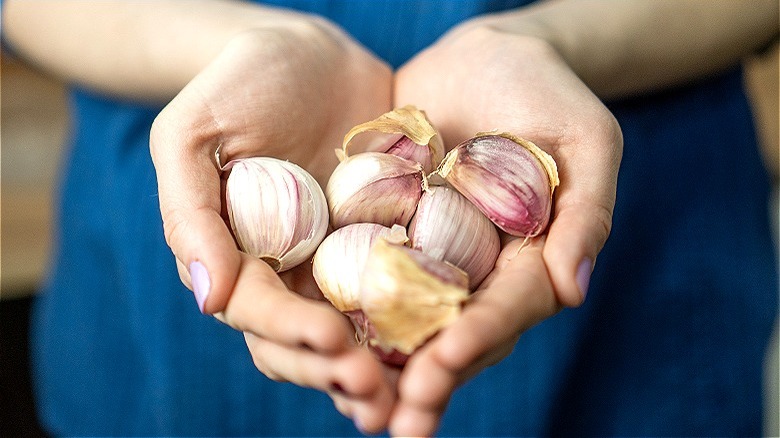 Person holding garlic cloves