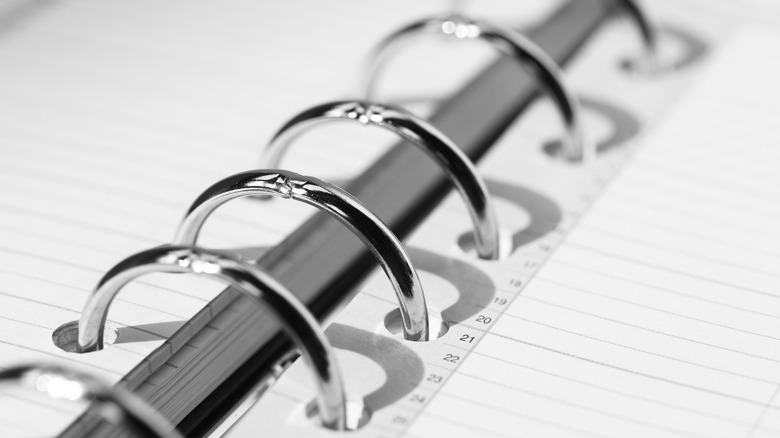 Closeup of the ringed spine of a binder with numbered paper inside the rings, a shadow cast by them