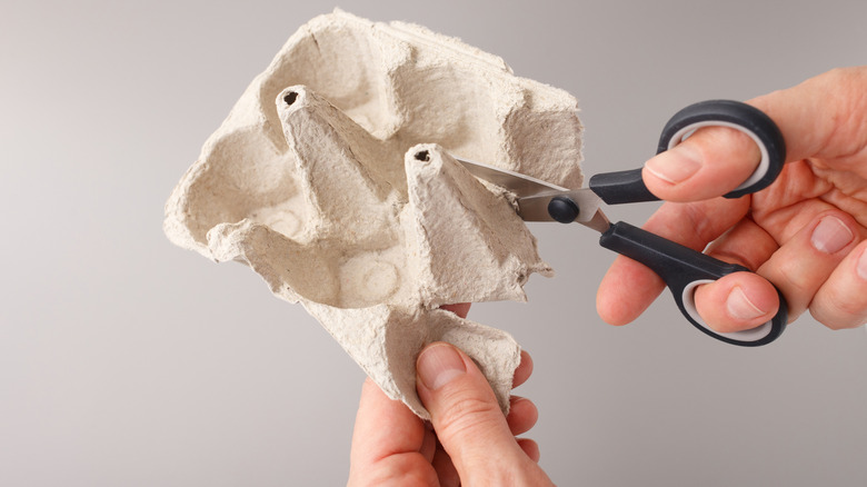 Person cutting up a cardboard egg carton for a craft