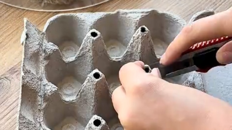Hands holding a utility knife cutting into an empty egg carton