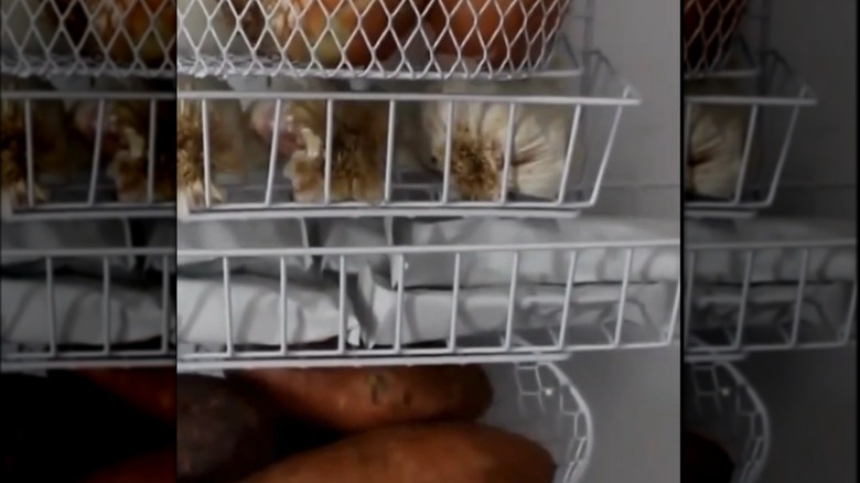 white shower caddy DIY with garlic and sweet potatoes