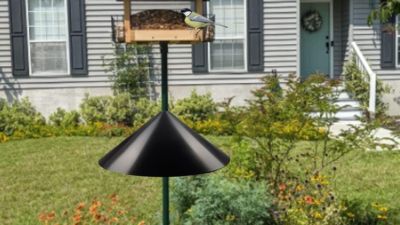 Garbuildman's Squirrel Baffle fitted on a pole that holds a bird feeder in a backyard