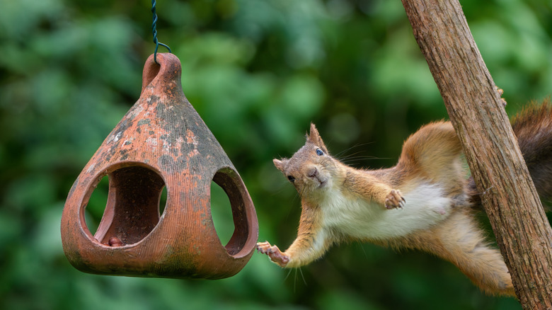 A squirrel leaning across from a pole and reaching into a bird feeder