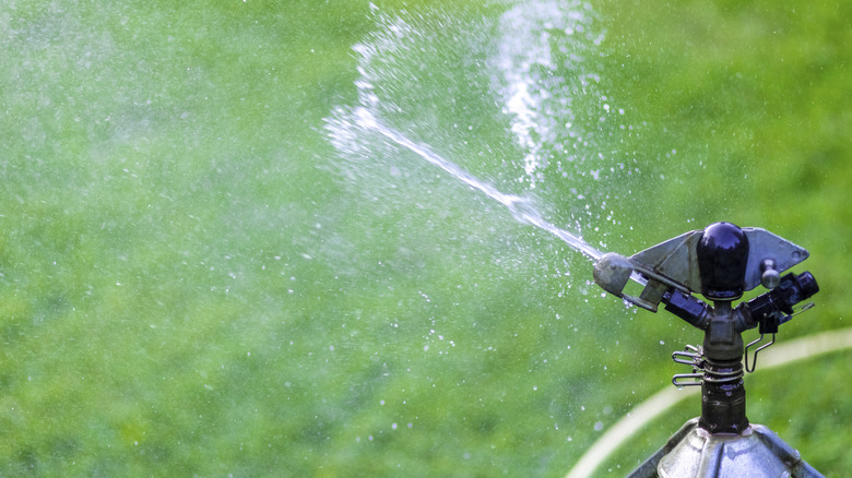 A water sprinkler spraying water.