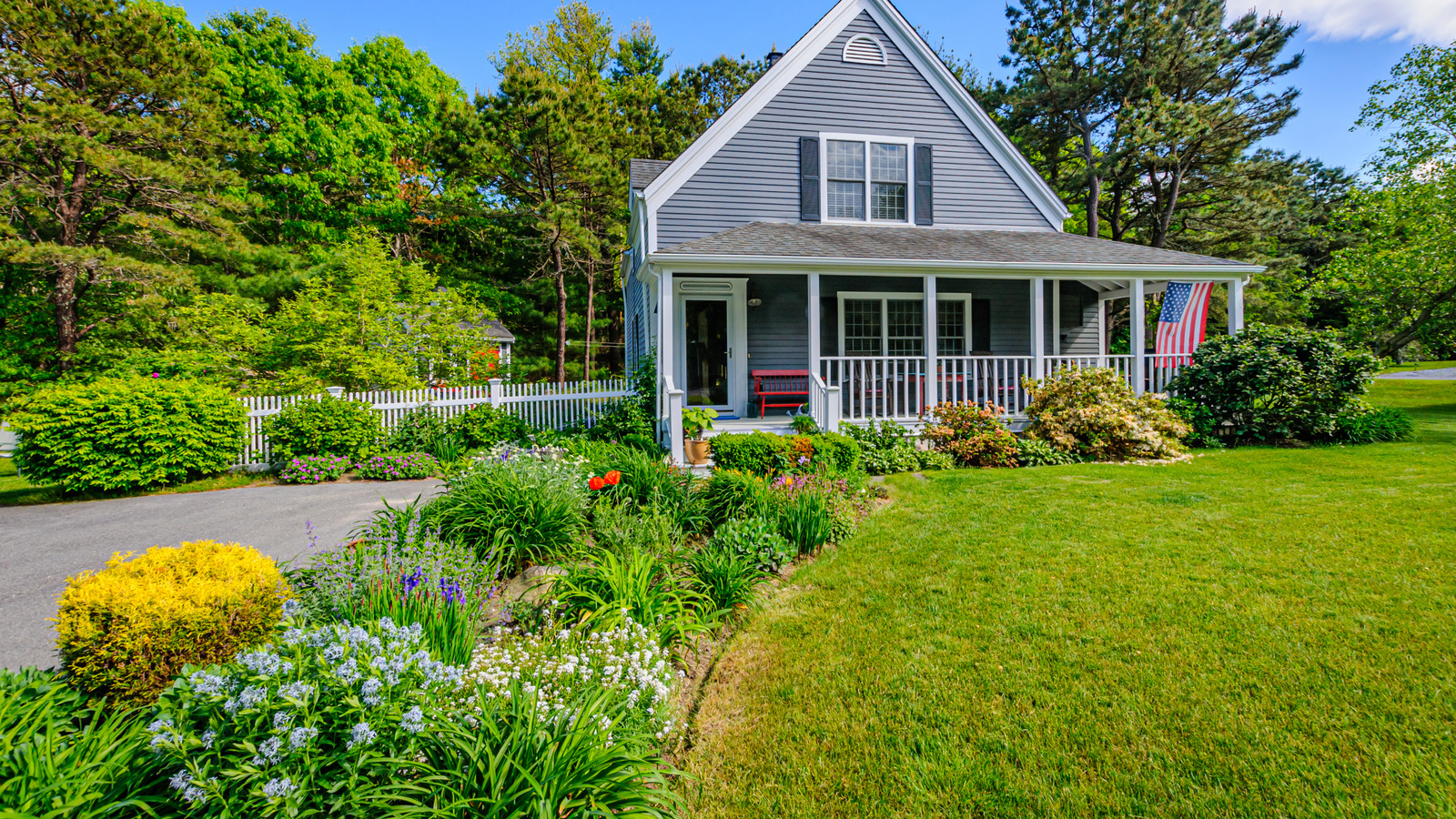 Prevent Weed Overgrowth with a Ground Cover That Blooms Bright White Prevent Weed Overgrowth with a Ground Cover That Blooms Bright White