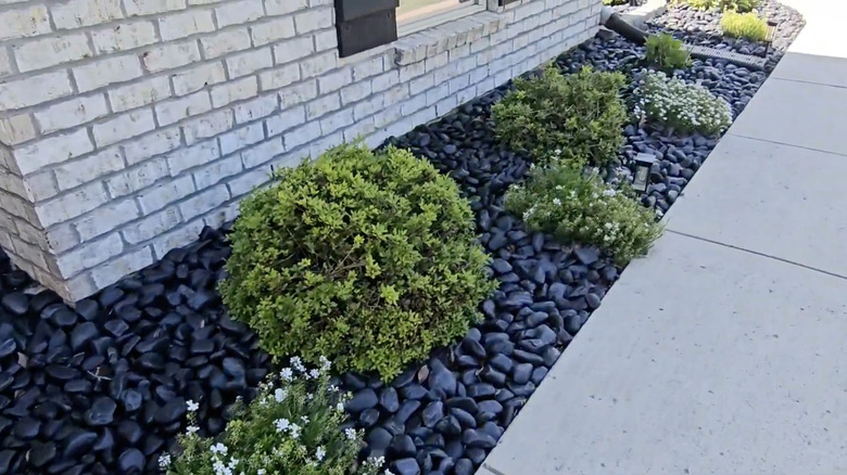 A shaded garden bed next to a house that's mulched with black pebbles.