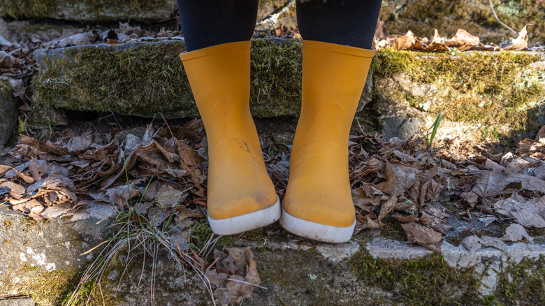 Person wearing dirty yellow rubber rain boots.