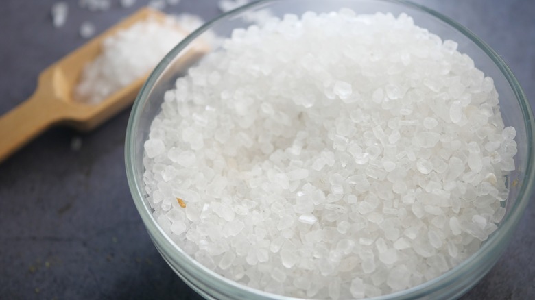 Bowl of coarse salt and scooper