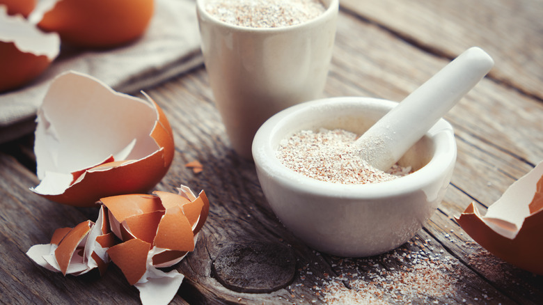 eggshells crushed into powder