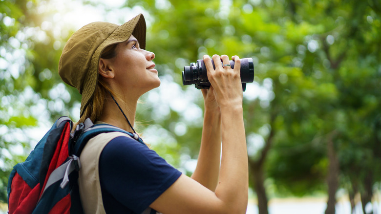 A woman watching birds