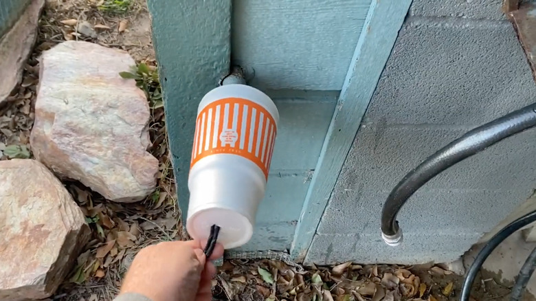 Whataburger cup covering an outdoor faucet