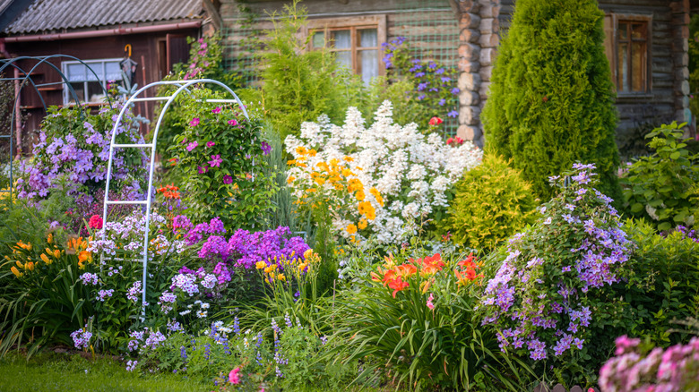 Front yard of a house with many flowering plants and shrubs
