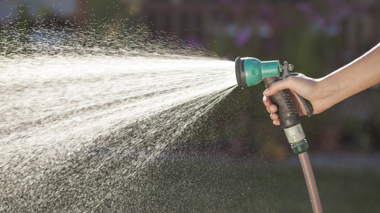 women holding water hose to water lawn