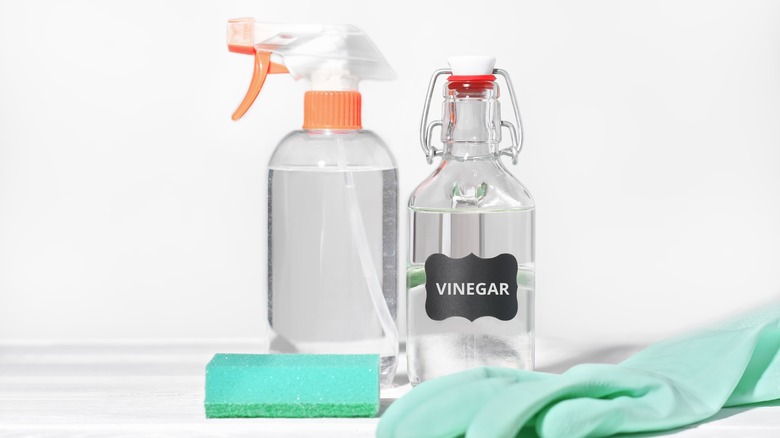 Water bottle and jar of vinegar