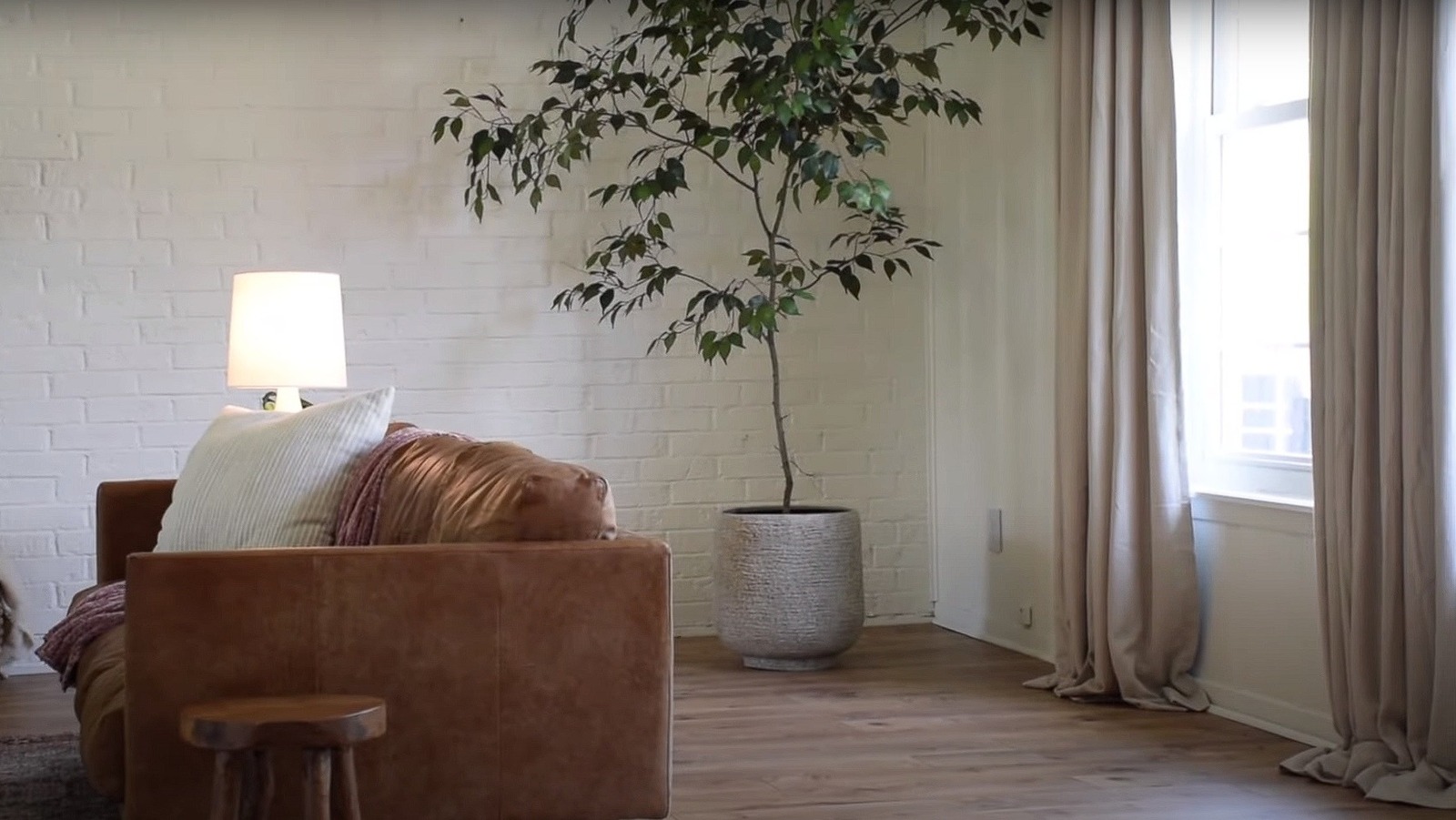 Keep Your Indoor Potted Trees MessFree With This Clever Plastic Saucer