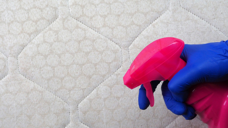 Person spraying mattress using pink spray bottle