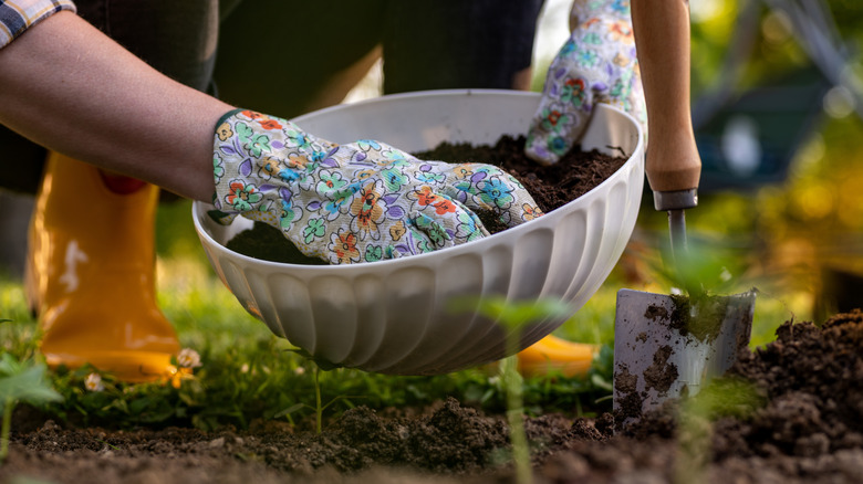 Gardener improving garden bed soil for planting, fertilizing with compost.