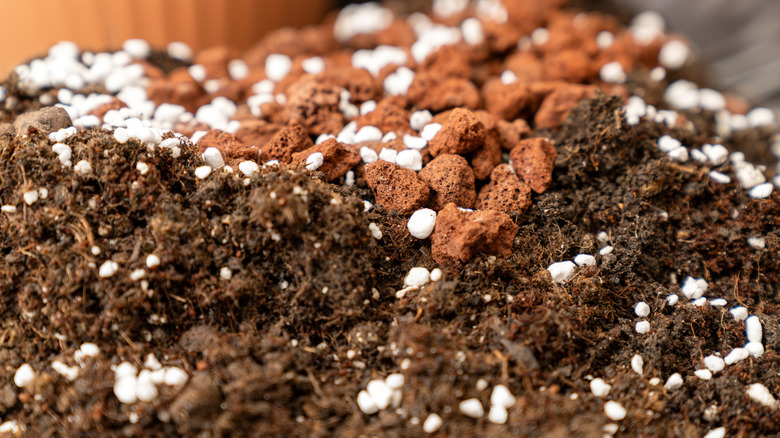 Potting soil with perlite and clay pebbles added into it.
