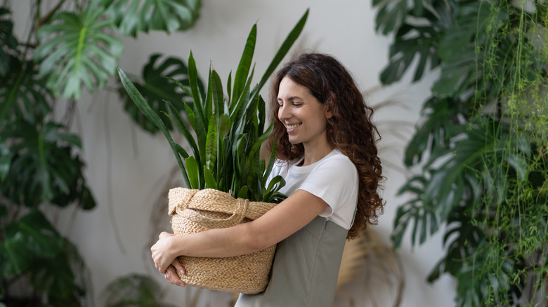 A young woman holds a snake plant in a woven basket.
