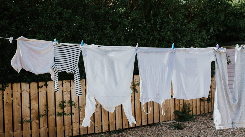 White clothes hanging on clothesline outside with wooden fence and tress in the background