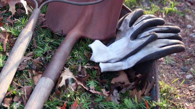 garden tools