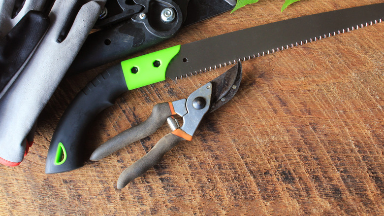 Assorted gardening tools for outdoor shrubs