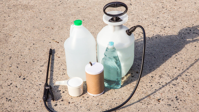 Sprayer, vinegar, salt, and dish soap
