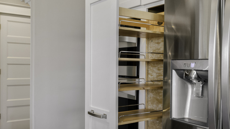 The image features a modern kitchen equipped with pull-out pantry shelves and a sleek stainless steel fridge, enhancing functionality and stylish design.