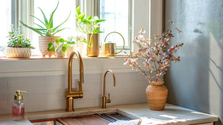 Small potted plants on a window sill above a kitchen sink