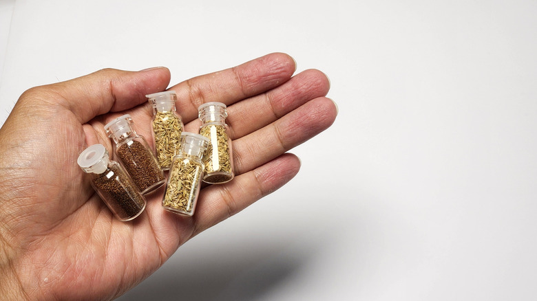 person holding small clear seasoning containers