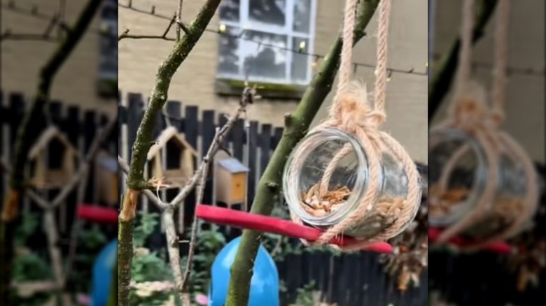 jar repurposed into bird feeder with spoon hanging from tree