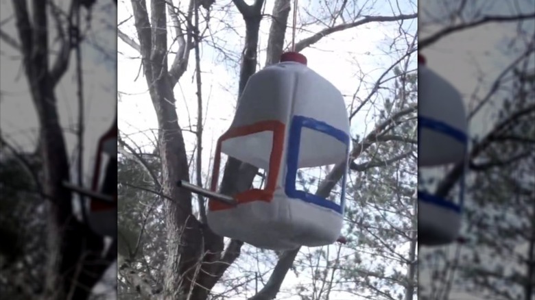 milk jug repurposed into hanging bird feeder