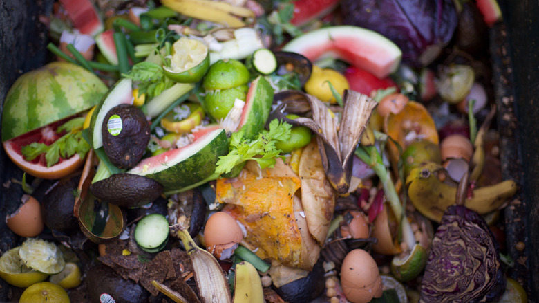 Food scraps piled in a compost heap with avocado skins