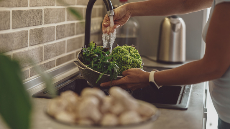 Woman washing greens under the faucet